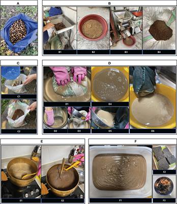 Ethnological approach to acorn utilization in prehistory: A case study of acorn mook making in South Korea